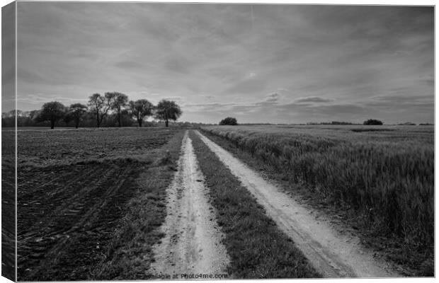 Dirt Track and Landscape in the Mostviertel Region of Lower Aust Canvas Print by Dietmar Rauscher