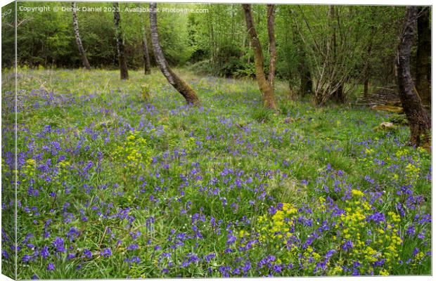 Garston Wood Bluebells Canvas Print by Derek Daniel