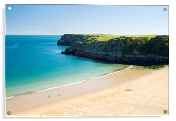 Barafundle Bay, Pembrokeshire, South Wales Acrylic by Justin Foulkes