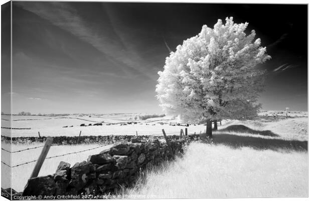 Infrared Tree near Magpie Mine Derbyshire Canvas Print by Andy Critchfield