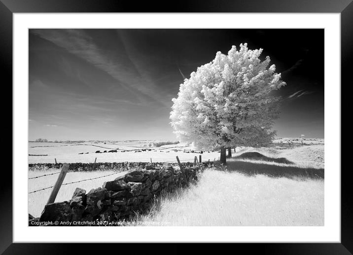 Infrared Tree near Magpie Mine Derbyshire Framed Mounted Print by Andy Critchfield