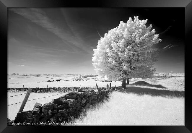 Infrared Tree near Magpie Mine Derbyshire Framed Print by Andy Critchfield