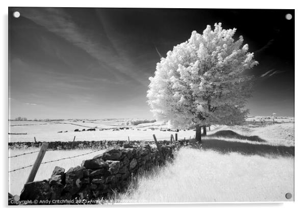 Infrared Tree near Magpie Mine Derbyshire Acrylic by Andy Critchfield