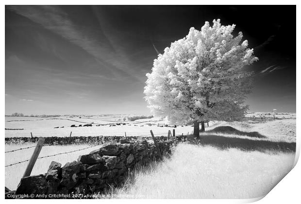 Infrared Tree near Magpie Mine Derbyshire Print by Andy Critchfield