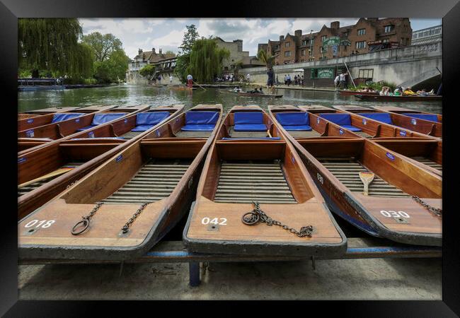A flotilla of Cambridge punts Framed Print by Leighton Collins