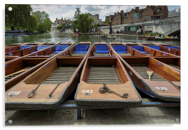 A flotilla of Cambridge punts Acrylic by Leighton Collins