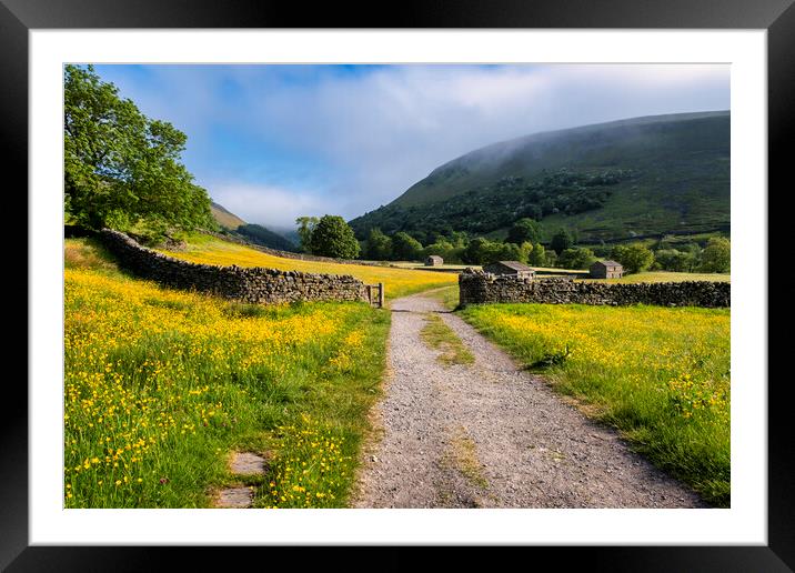 Muker Wildflower Meadows, Upper Swaledale Framed Mounted Print by Tim Hill