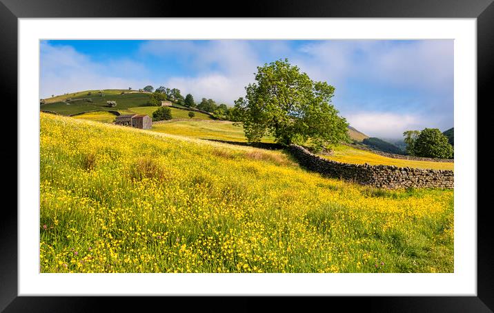 Muker Buttercup Meadows, Upper Swaledale Framed Mounted Print by Tim Hill