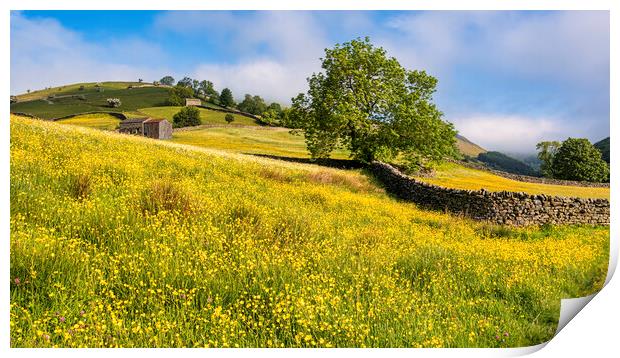 Muker Buttercup Meadows, Upper Swaledale Print by Tim Hill