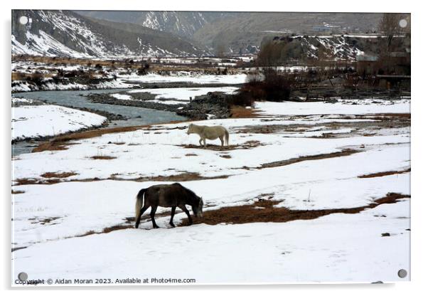 Horses in a Winter Landscape   Acrylic by Aidan Moran