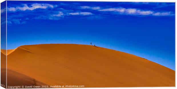 Towering Orange Dunes Canvas Print by David Owen