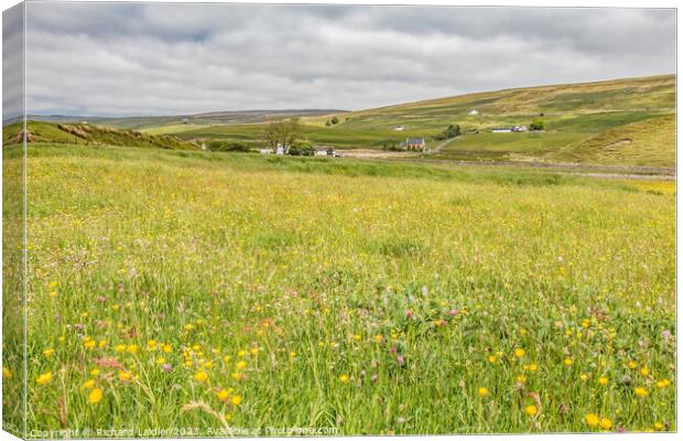 Hay Meadow at Marshes Gill, Harwood, Teesdale Canvas Print by Richard Laidler