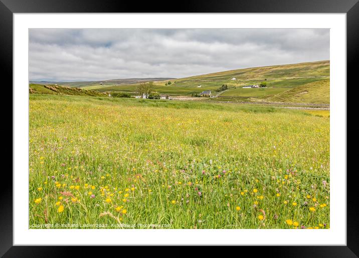 Hay Meadow at Marshes Gill, Harwood, Teesdale Framed Mounted Print by Richard Laidler