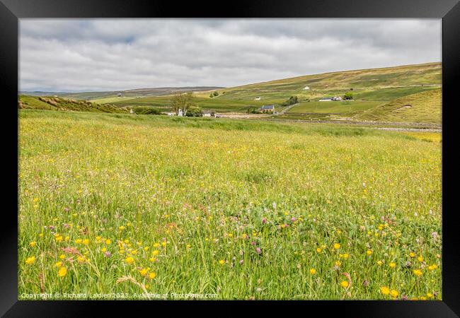 Hay Meadow at Marshes Gill, Harwood, Teesdale Framed Print by Richard Laidler