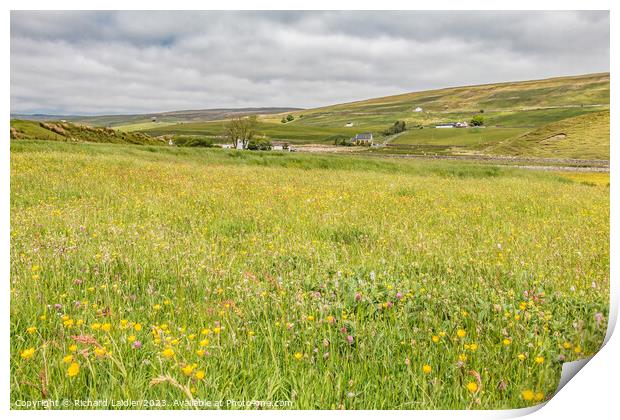 Hay Meadow at Marshes Gill, Harwood, Teesdale Print by Richard Laidler