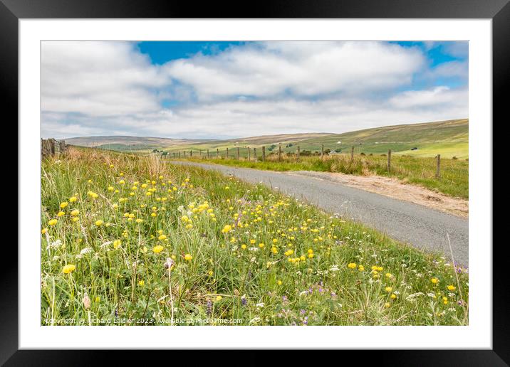 Roadside Summer Wild Flowers at Harwood, Teesdale  Framed Mounted Print by Richard Laidler