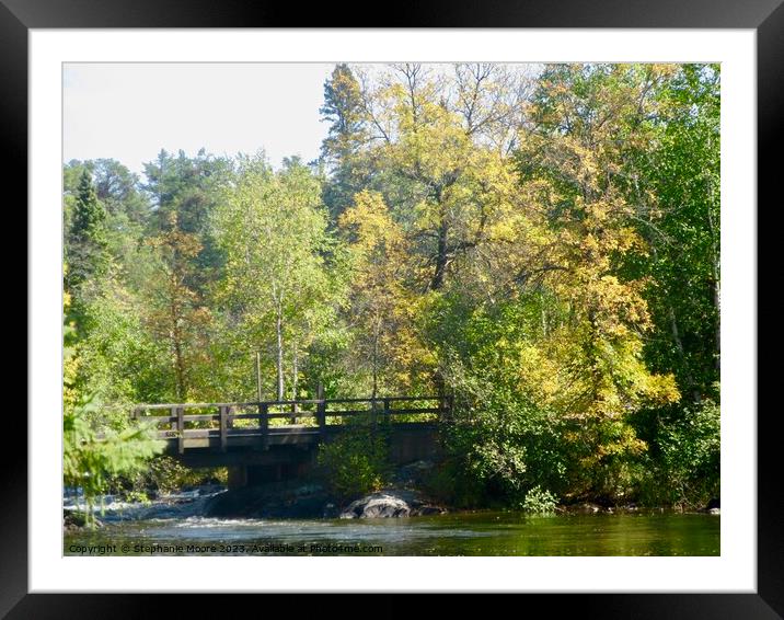 Early fall Framed Mounted Print by Stephanie Moore