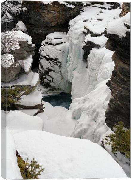 Frozen Athabasca Falls Canvas Print by rawshutterbug 