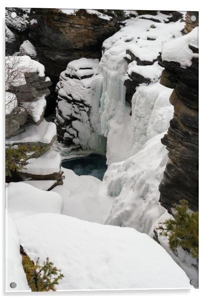 Frozen Athabasca Falls Acrylic by rawshutterbug 