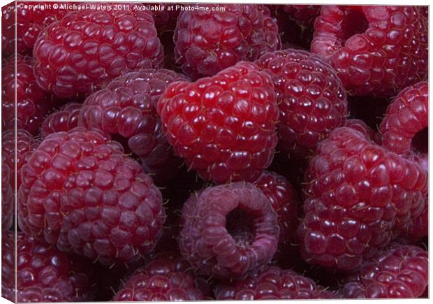 Red Raspberries Canvas Print by Michael Waters Photography