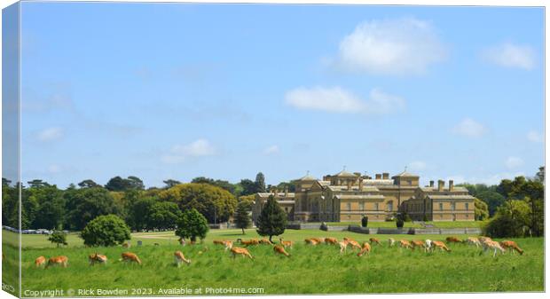 Graceful Fallow Deer at Holkham Hall Canvas Print by Rick Bowden