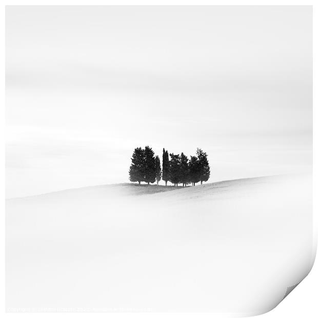 Eleven Trees Print by Stefano Orazzini