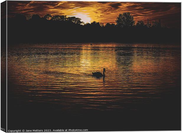 A Swans Silhouette  Canvas Print by Jane Metters