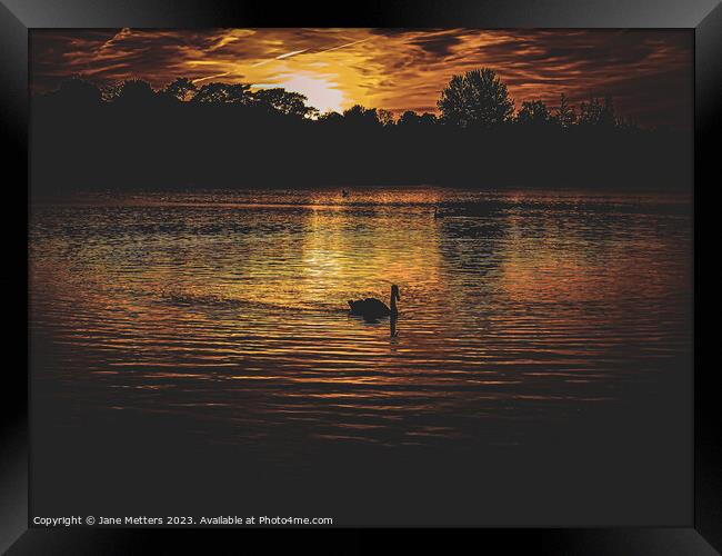 A Swans Silhouette  Framed Print by Jane Metters