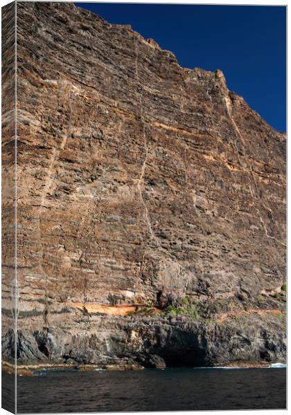 Cliff of Los Gigantes In Tenerife Canvas Print by Artur Bogacki