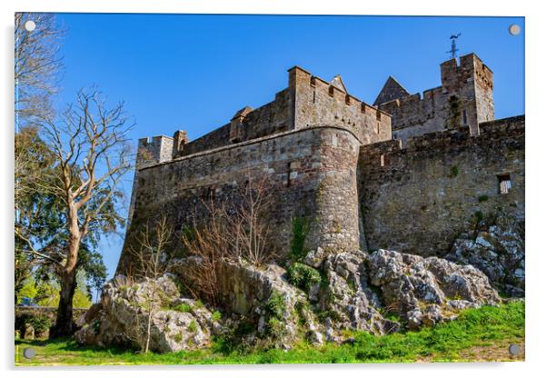 Medieval Cahir Castle In Ireland Acrylic by Artur Bogacki