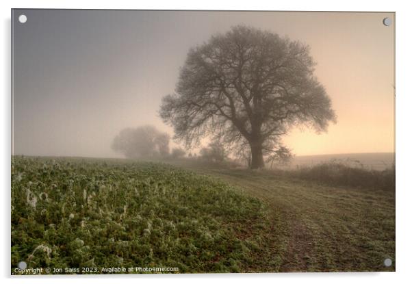 Misty Morning Acrylic by Jon Saiss