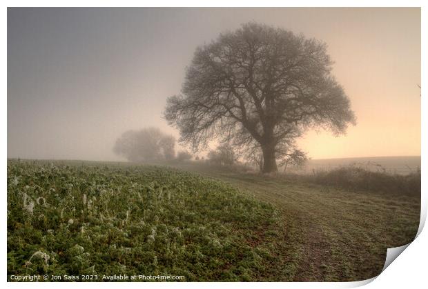 Misty Morning Print by Jon Saiss