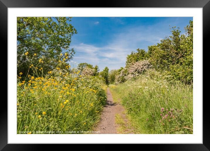 Summer Morning on the Tees Railway Walk at Mickleton (2) Framed Mounted Print by Richard Laidler