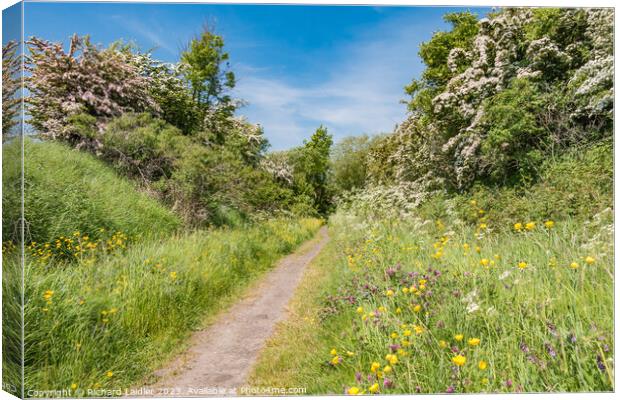 Summer Morning on the Tees Railway Walk at Mickleton (1) Canvas Print by Richard Laidler
