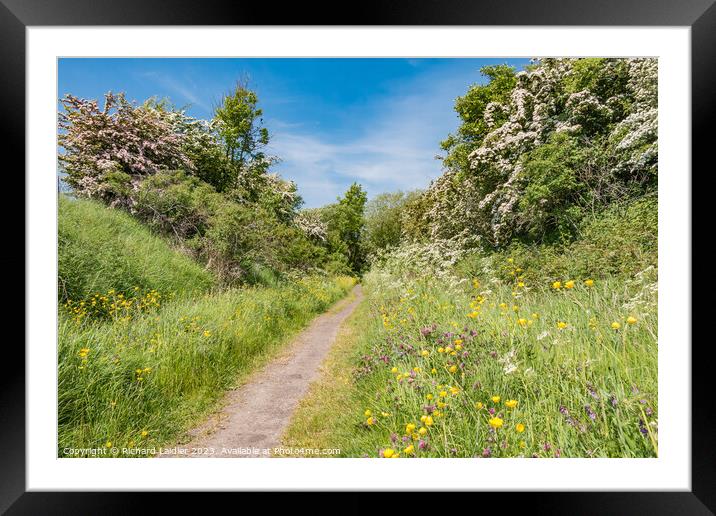 Summer Morning on the Tees Railway Walk at Mickleton (1) Framed Mounted Print by Richard Laidler