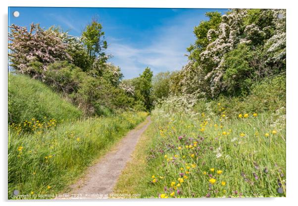 Summer Morning on the Tees Railway Walk at Mickleton (1) Acrylic by Richard Laidler