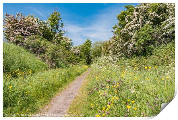 Summer Morning on the Tees Railway Walk at Mickleton (1) Print by Richard Laidler