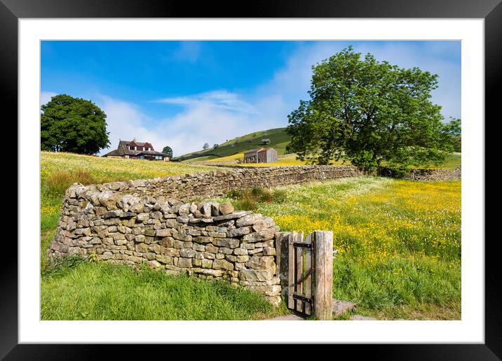 New and Old: Muker Wildflower Meadows Framed Mounted Print by Tim Hill