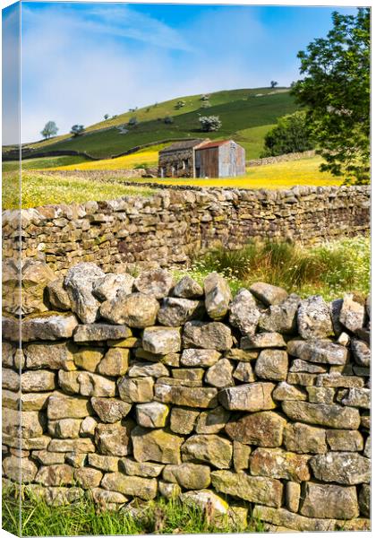 Yorkshire Dales Drystone Walls: Muker, Swaledale Canvas Print by Tim Hill