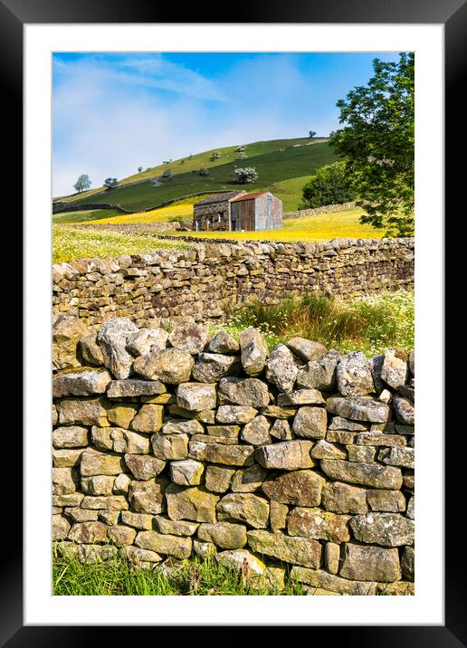 Yorkshire Dales Drystone Walls: Muker, Swaledale Framed Mounted Print by Tim Hill
