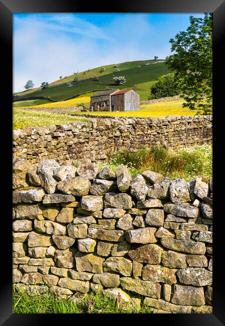 Yorkshire Dales Drystone Walls: Muker, Swaledale Framed Print by Tim Hill