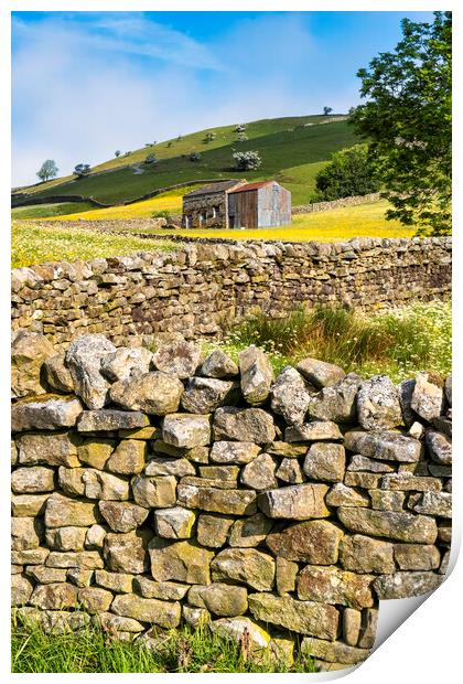 Yorkshire Dales Drystone Walls: Muker, Swaledale Print by Tim Hill