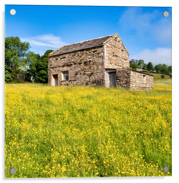 Stone Barn: Muker Wildflower Meadows Acrylic by Tim Hill