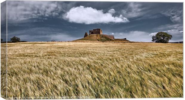 Ruins of Duffus Castle Canvas Print by Tom McPherson