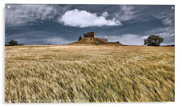 Ruins of Duffus Castle Acrylic by Tom McPherson