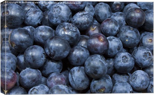 Blueberries Canvas Print by Michael Waters Photography
