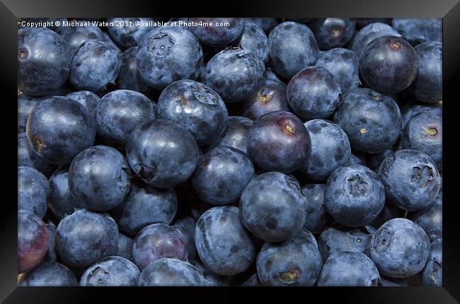 Blueberries Framed Print by Michael Waters Photography
