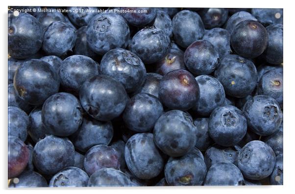 Blueberries Acrylic by Michael Waters Photography