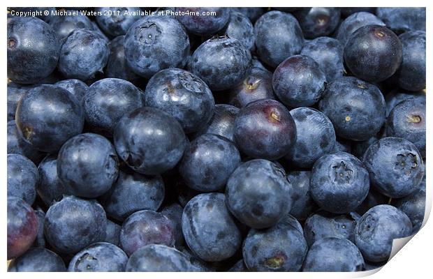 Blueberries Print by Michael Waters Photography