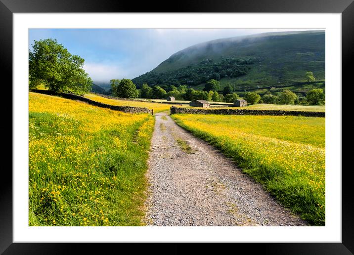 Summer has Arrived: Muker Wildflower Meadows Framed Mounted Print by Tim Hill